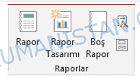 Rapor Sekmesi Menüleri