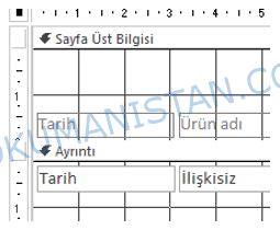 Rapor Tarih Alanı
