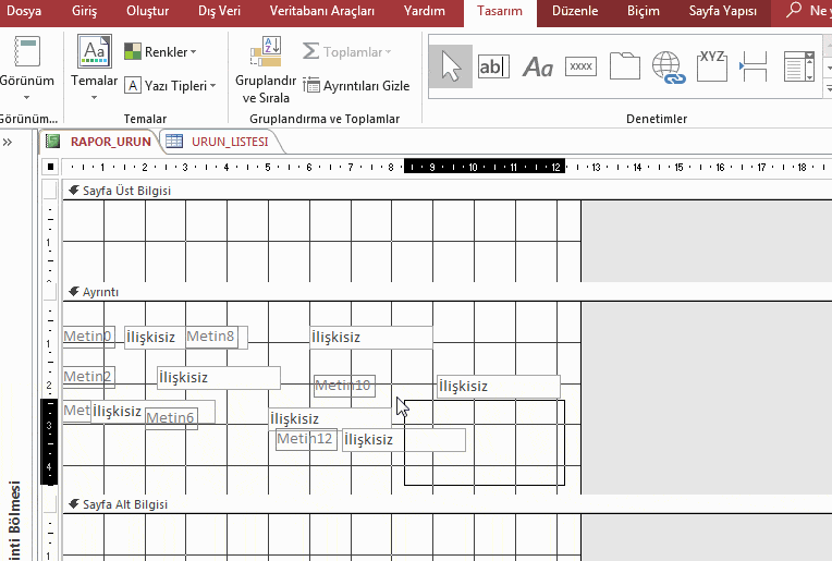 Rapor Tasarım