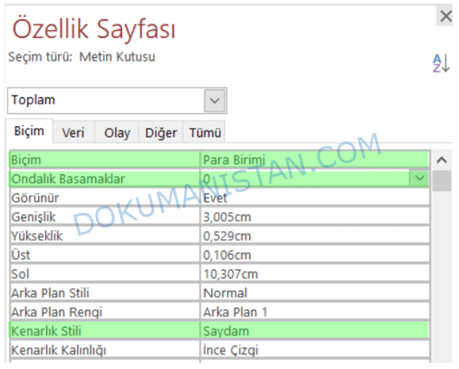 Rapor Tasarımı Özellik Sayfası