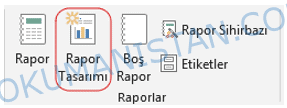 Rapor Tasarımı