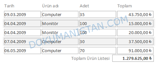 Rapor Toplam Alanı Para Birimi Biçimi
