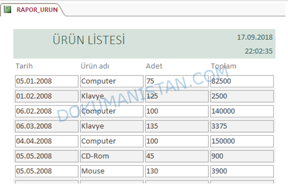 Rapor Ürün Listesi