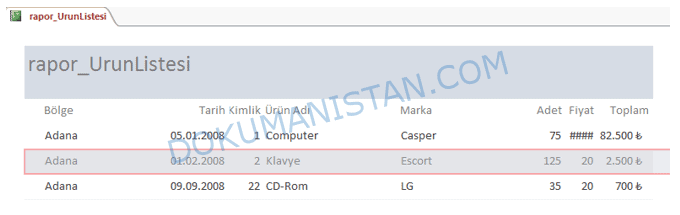 Ürün Listesi Raporu
