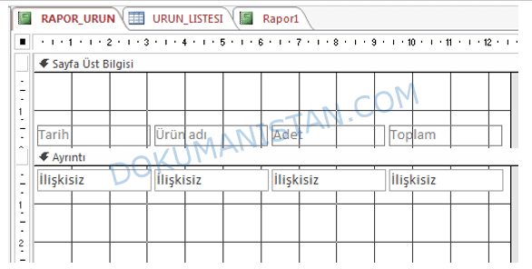 Rapor Üst Başlık Ekleme