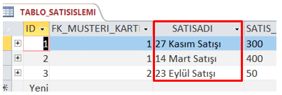 sabit-deger-ornegi