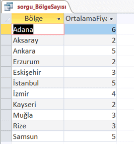 Sayma İşlevi Verisi