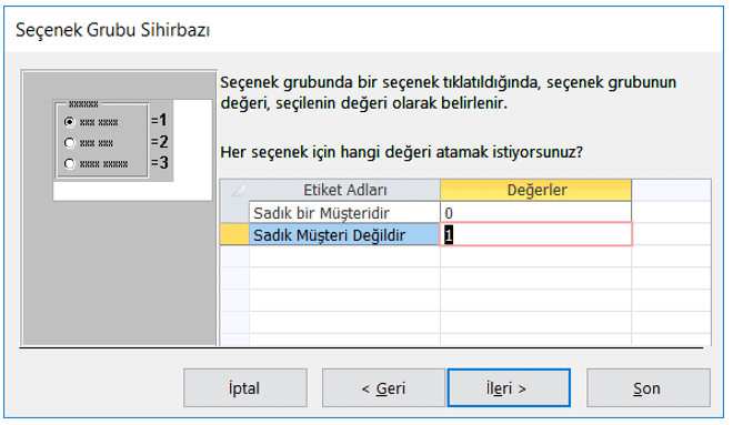 Seçenek Grubu Sihirbazı
