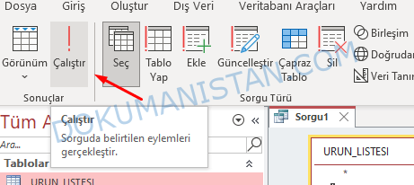 Sorgu Çalıştır Butonu