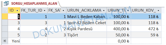 Sorgu Hesaplanmış Alan Tablo Görünümümü