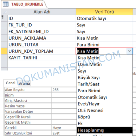 Tablo Hesaplanmış Veri Türü