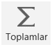 Toplamlar Formülü Butonu