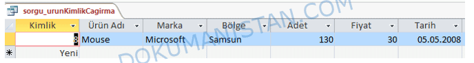 Ürün Kimlik Çağrıma Sorgu Sonucu