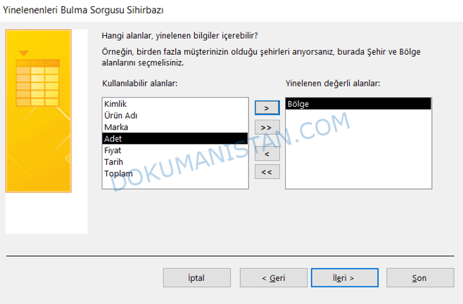 Yinelenenleri Bulma Tablo Alanları