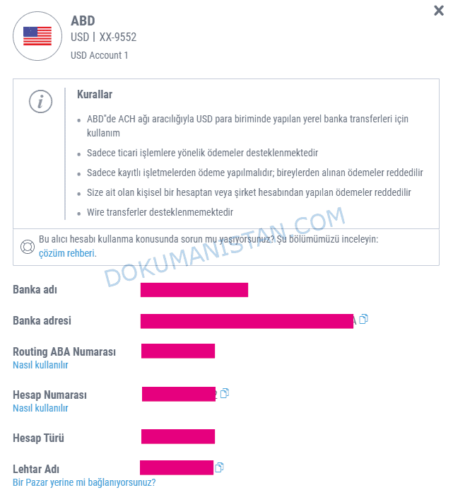 Payoneer Hesap Bilgileri